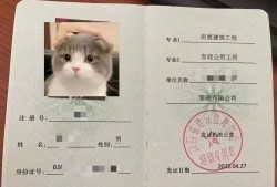 陜西省省級監理工程師2020年陜西省監理工程師報考條件