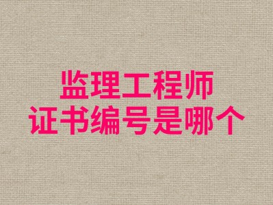 企業監理工程師可以投標嗎知乎,企業監理工程師可以投標嗎