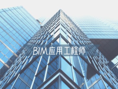bim造價工程師就業(yè),造價bim工程師有用嗎?